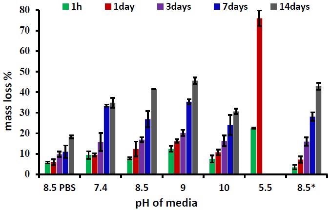 The mass loss of hydrogel over 14 days, in lysozyme media (376 U/mL) of different pH (* indicates a lysozyme concentration of 4830 U/mL; 8.5PBS indicates the absence of lysozyme).