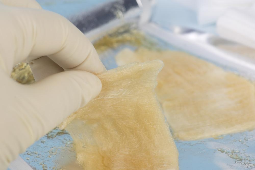 Biocompatible Chitosan-Based Hydrogel with Antimicrobial Properties
