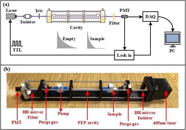 Precise Detection Technology for Sensing Nitrogen Dioxide in the Air.