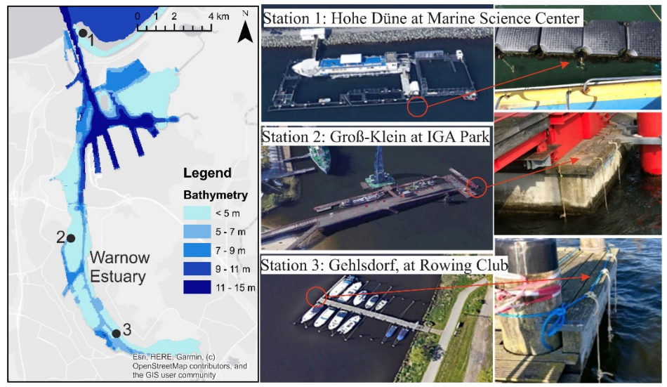 Location of selected stations S1, S2 to S3 in the Warnow River estuary at Rostock city in addition to the hanging incubators in the water column