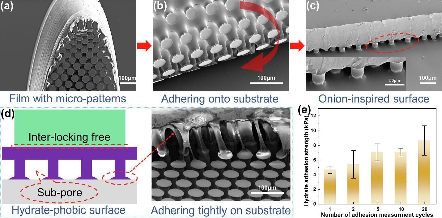 Onion inspired anti-hydrate surfaces.