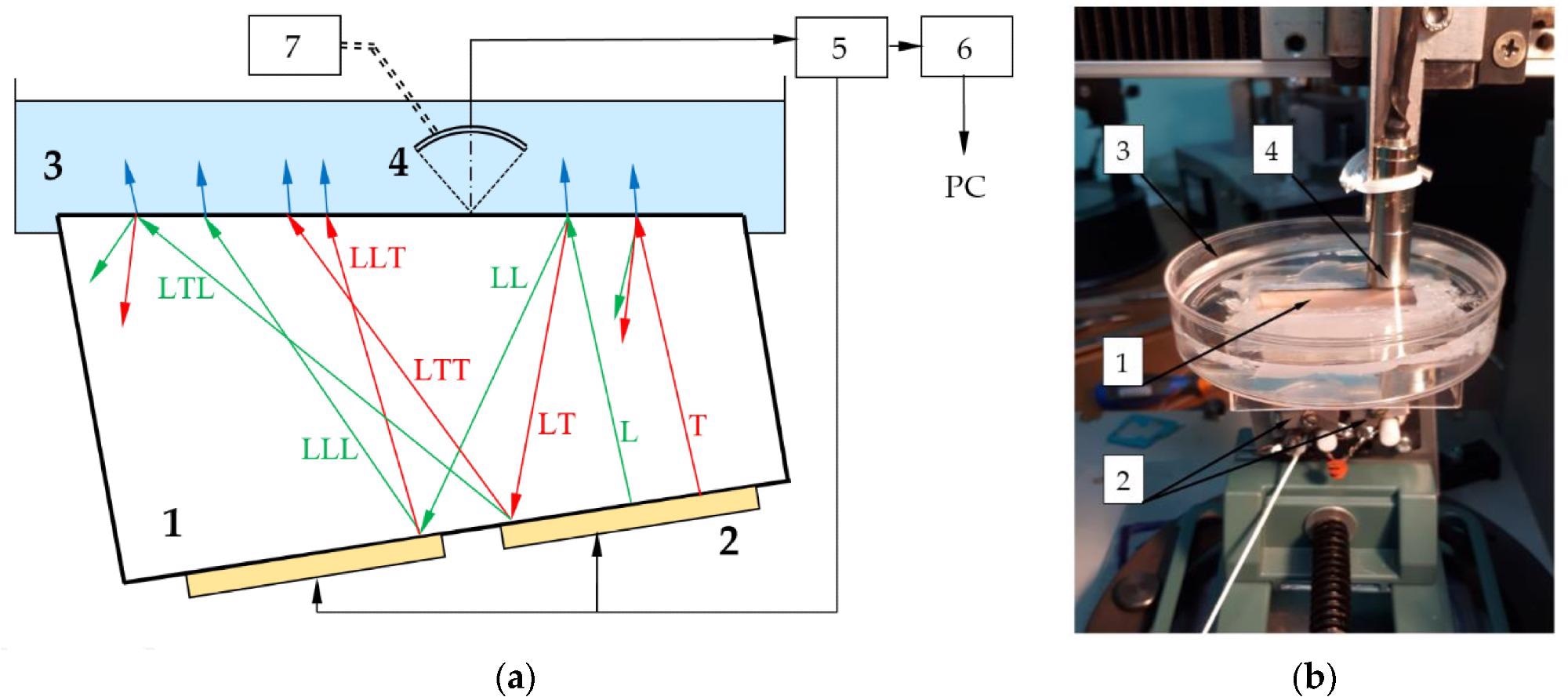 Scheme (a) and appearance (b) of the experimental setup: 1—AO cell; 2—emitting piezotransducer; 3—cuvette with immersion liquid; 4—receiving piezotransducer; 5—pulser-receiver; 6—analog-to-digital converter; 7—motorized translator. Green and red arrows show longitudinal (L) and transverse (T) waves propagating in AO cell, blue arrows correspond to longitudinal waves in liquid.