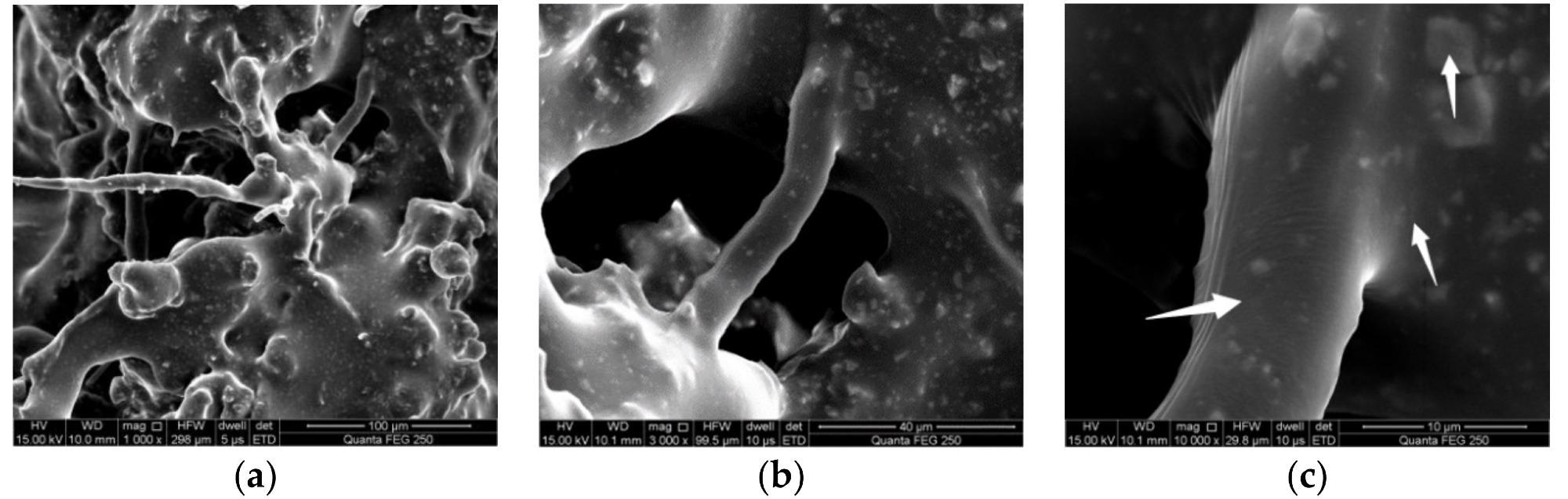 Microstructure of fiber asphalt mastic in asphalt mixture. (a) 1000 times, (b) 3000 times and (c) 10,000 times.