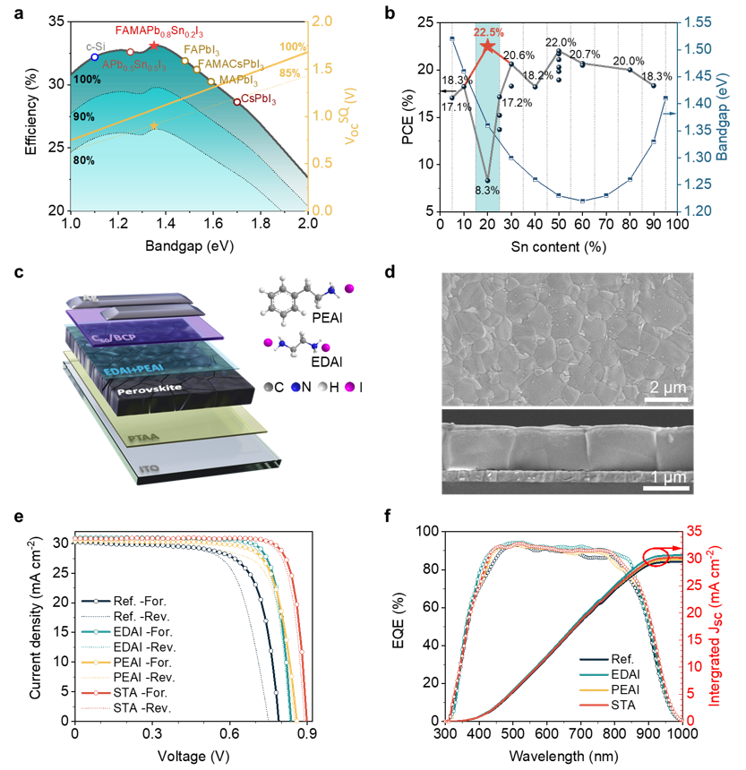 Novel Solution to Tackle Bimetallic Traps in High-Efficiency PSCs by Applying an Anchoring Strategy.