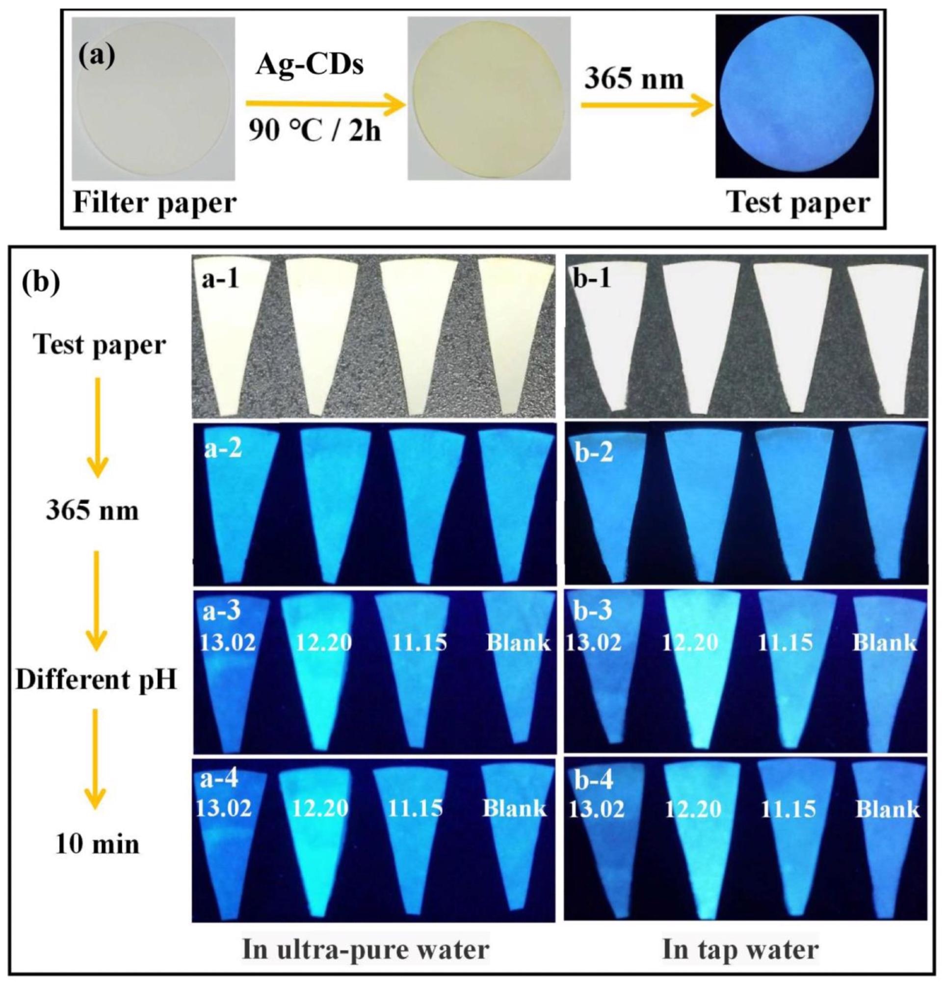(a) The pH fluorescent test paper was prepared by filter paper and Ag-CDs (excited at 365 nm). (b) The pH fluorescent test paper for different pH sensing (13.02, 12.20, 11.15, and Blank) in ultrapure water and tap water for 10 min (excited at 365 nm).