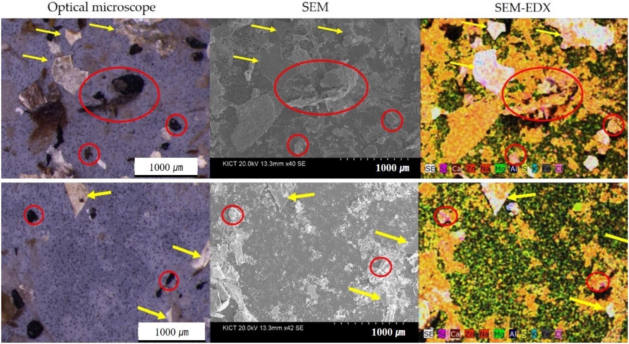 Optical microscope and SEM/EDX mapping of particles of road dust sample (red circle: black particle, yellow arrow: soil and stone).