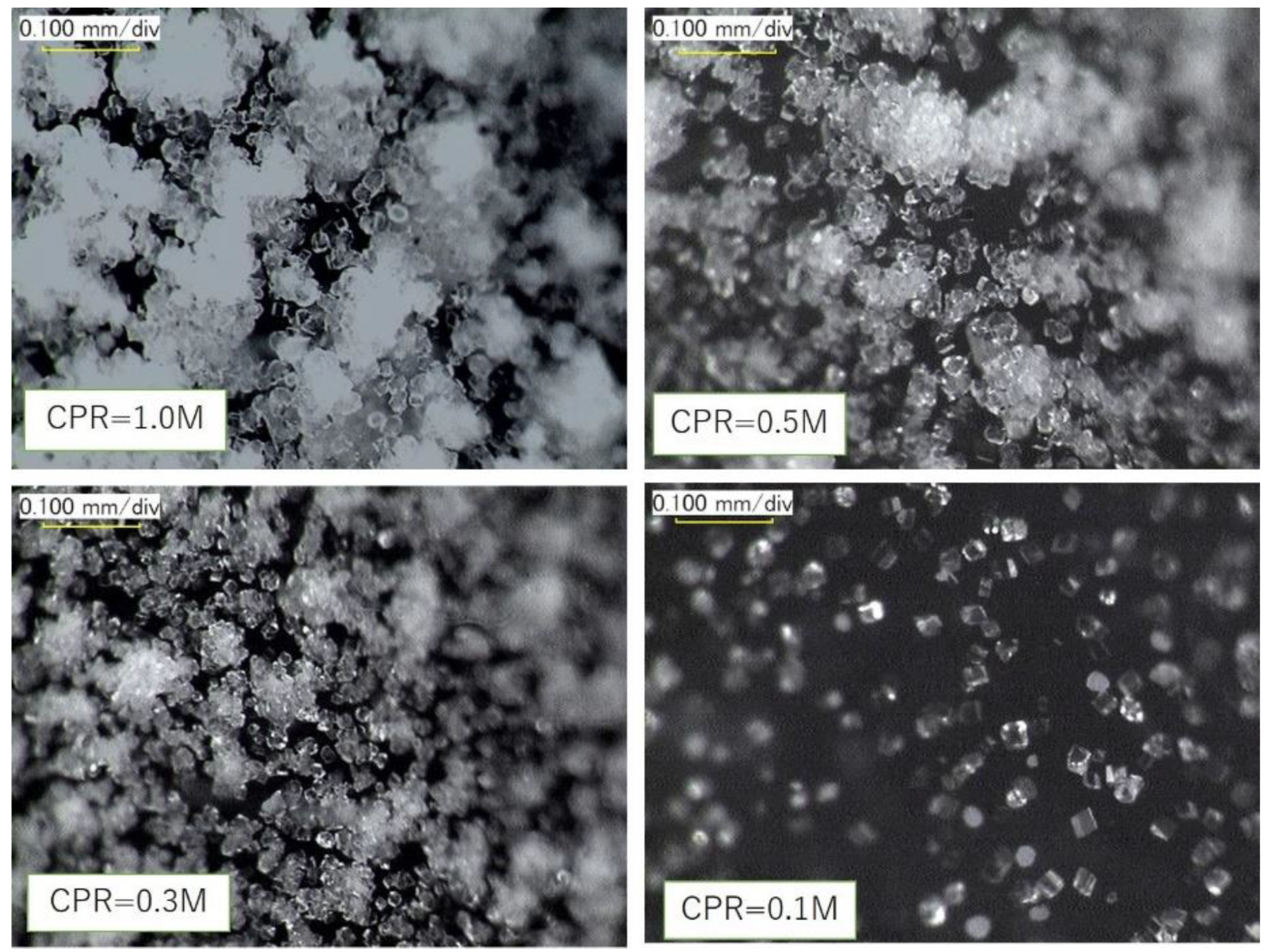 Digital photomicrographs of precipitated CaCO3 (at 24 h) on the walls of test tubes, using various levels of Ca2+.