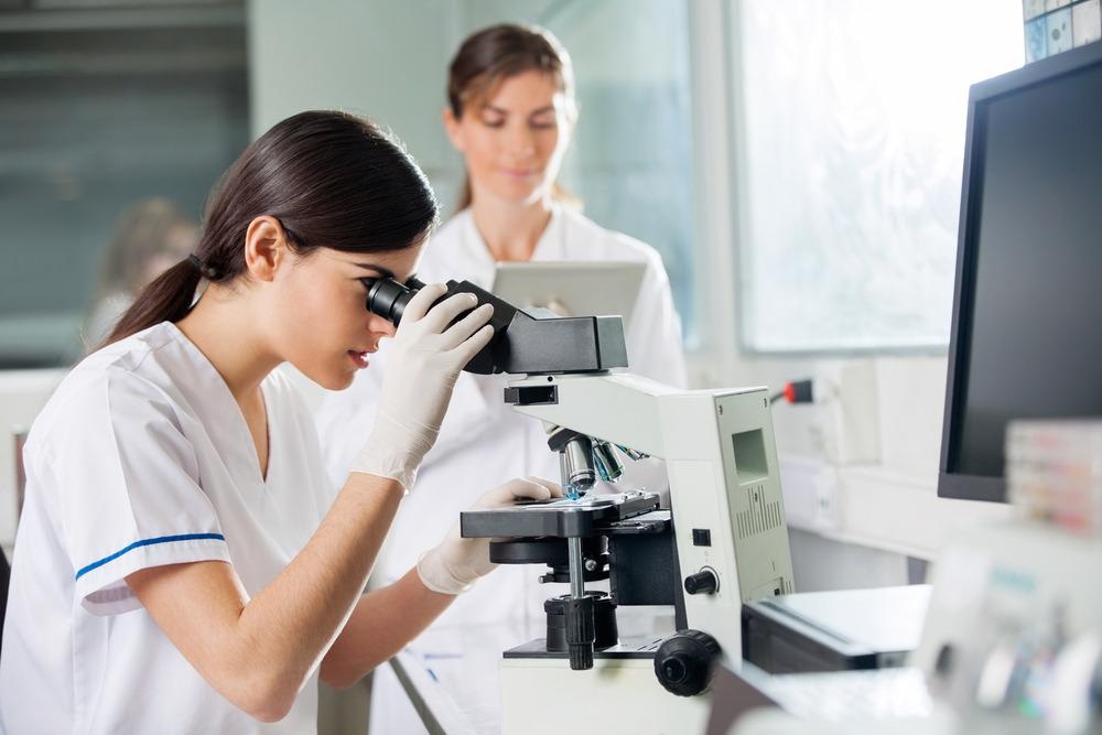 Analyzing Bone Graft Cytotoxicity