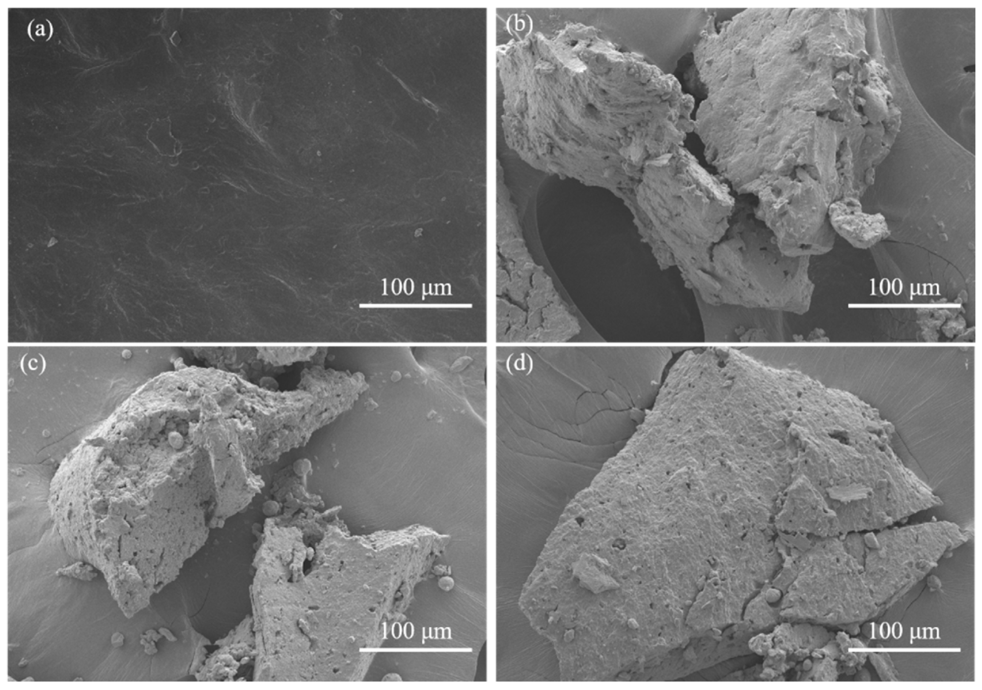 SEM images of different temperature fractured surface of WR: (a) untreated; (b) at 30 °C; (c) at 80 °C; and (d) at 140 °C.