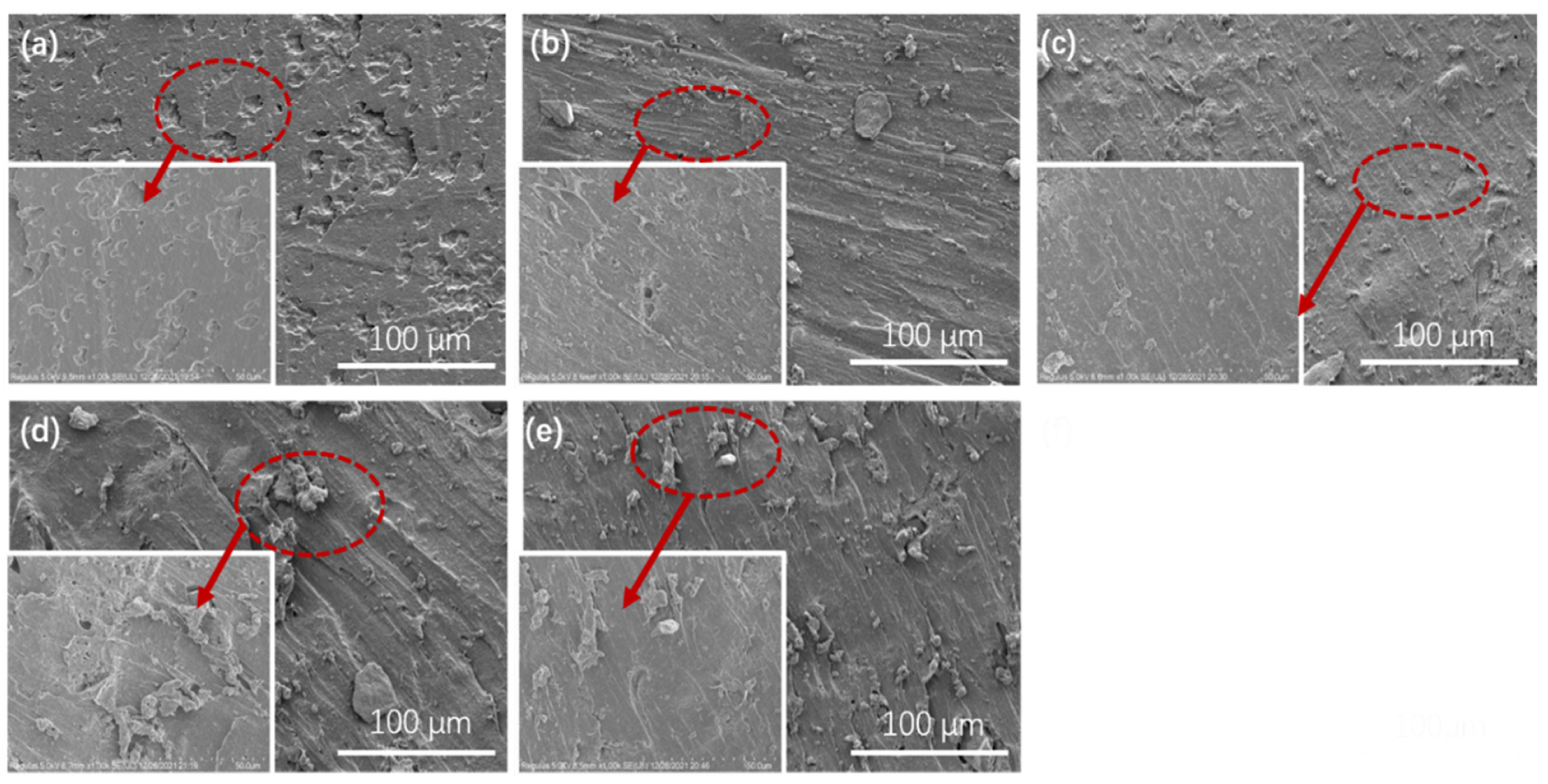 SEM images of RWR/SBR composites: (a) 100SBR/0RWR; (b) 90SBR/10RWR; (c) 80SBR/20RWR; (d) 70SBR/30RWR; and (e) 60SBR/40RWR.
