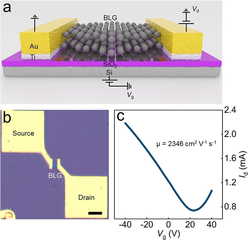 Electrical measurement of a back-gate FET device based on BLG single crystals. (a) Schematic of the back-gate BLG FET device. (b) Optical image of the BLG FET device (scale bar: 10 µm). (c) Transfer characteristic of the BLG FET device, with Vd = 1 V.