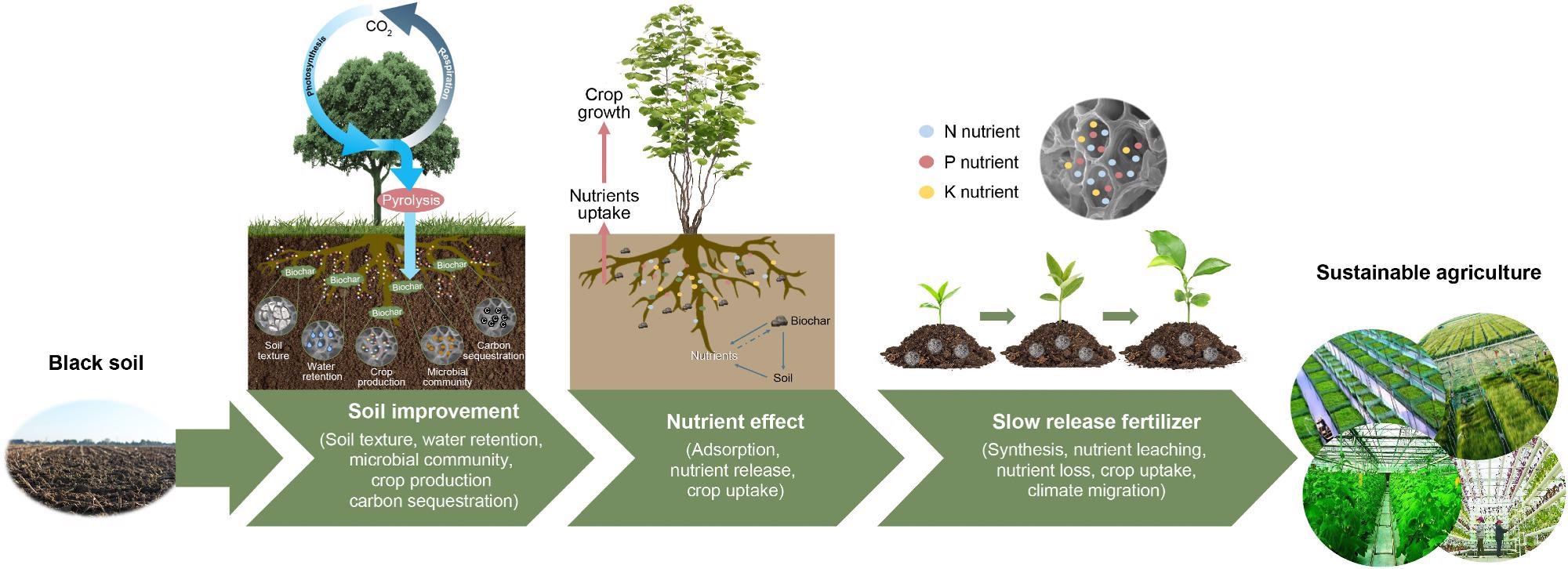 Schematic of the research evolution of biochar-based SRFs.