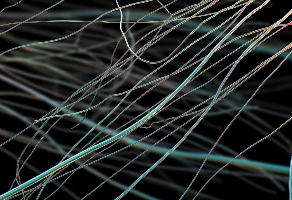 How is the Elasticity of Electrospun Polymers Affected by Solvents?