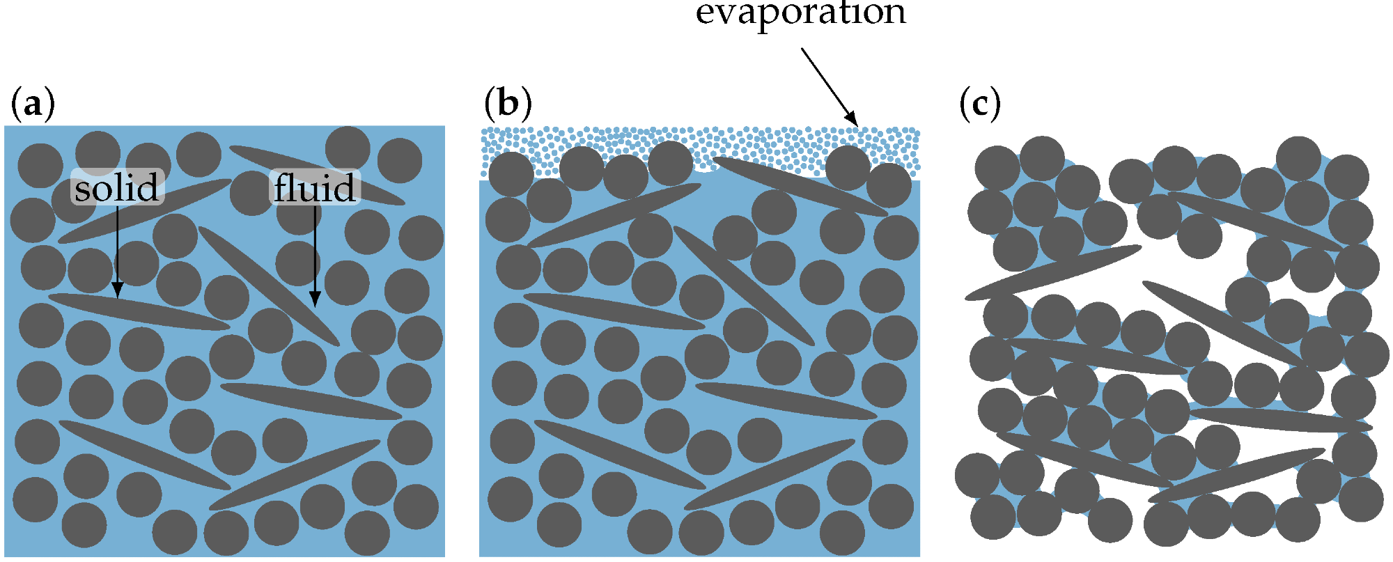 Illustration of the drying cell strategy. (a) shows the particle configuration in the wet filament as produced by the printing process. During the first stage of drying (b,c), most of the water evaporates and the particles change their orientation.