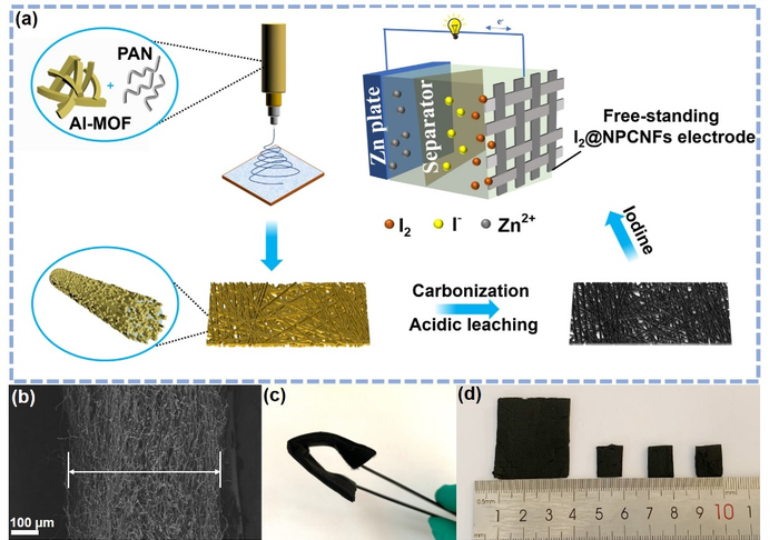 Versatile Carbon Fiber Networks Boost Performance of Zinc–Iodine Batteries.