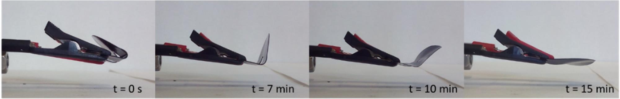 Electroactive shape recovery behavior of the XNBR nanocomposite with 15 phr of CNTs as a function of the time of application of a constant voltage of 50 V.