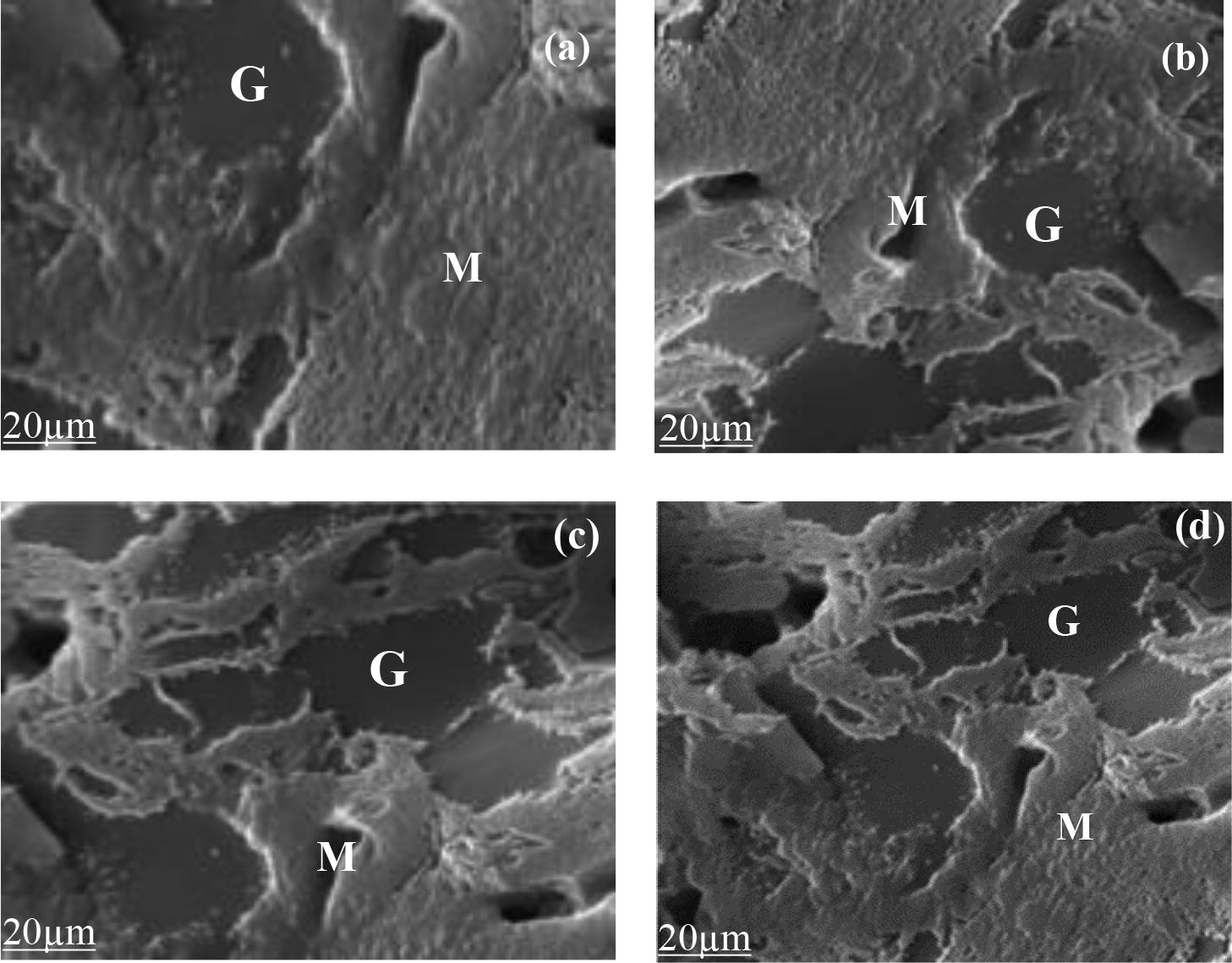SEM micrographs of ceramic samples with a) 30 wt% of GP b) 35 wt% of GP c) 40 wt% of GP and d) 45 wt% of GP fired 1200 °C showing glass (G) and mullite (M) phase.