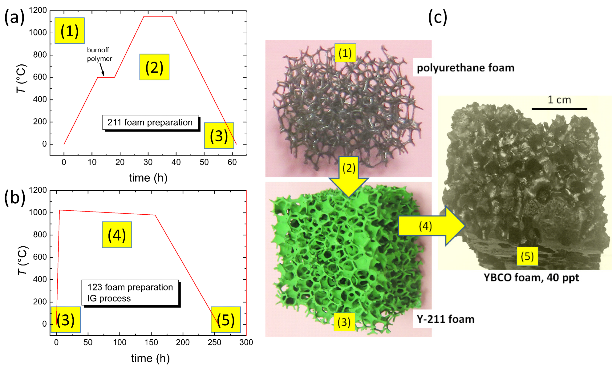 (a) Heat treatment to obtain the Y211 foam, (b) heat treatment (IG-process) converting the Y-211 foam to an superconducting YBCO foam. (c) Illustration of the foam samples at different process stages (1), (3) and (5).