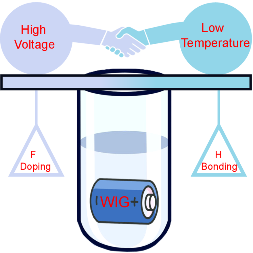 Experts Design a Water-in-Ionogel Electrolyte with Low Salt-Concentration and High Operational Voltage.