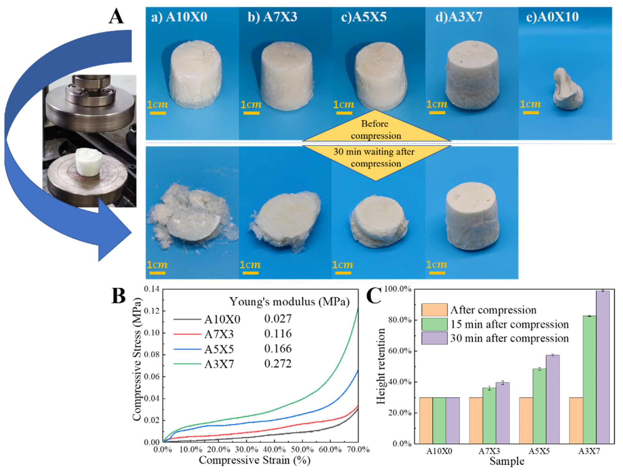 Mechanical performances for the AG/XNBRL aerogels. (A) Photos for AG/XNBRL aerogels before compression (upper panel) and 30 min waiting after compression (lower panel). (B) Compression curves of AG/XNBRL aerogels. (C) Height recovery of the samples after compression with various waiting times.
