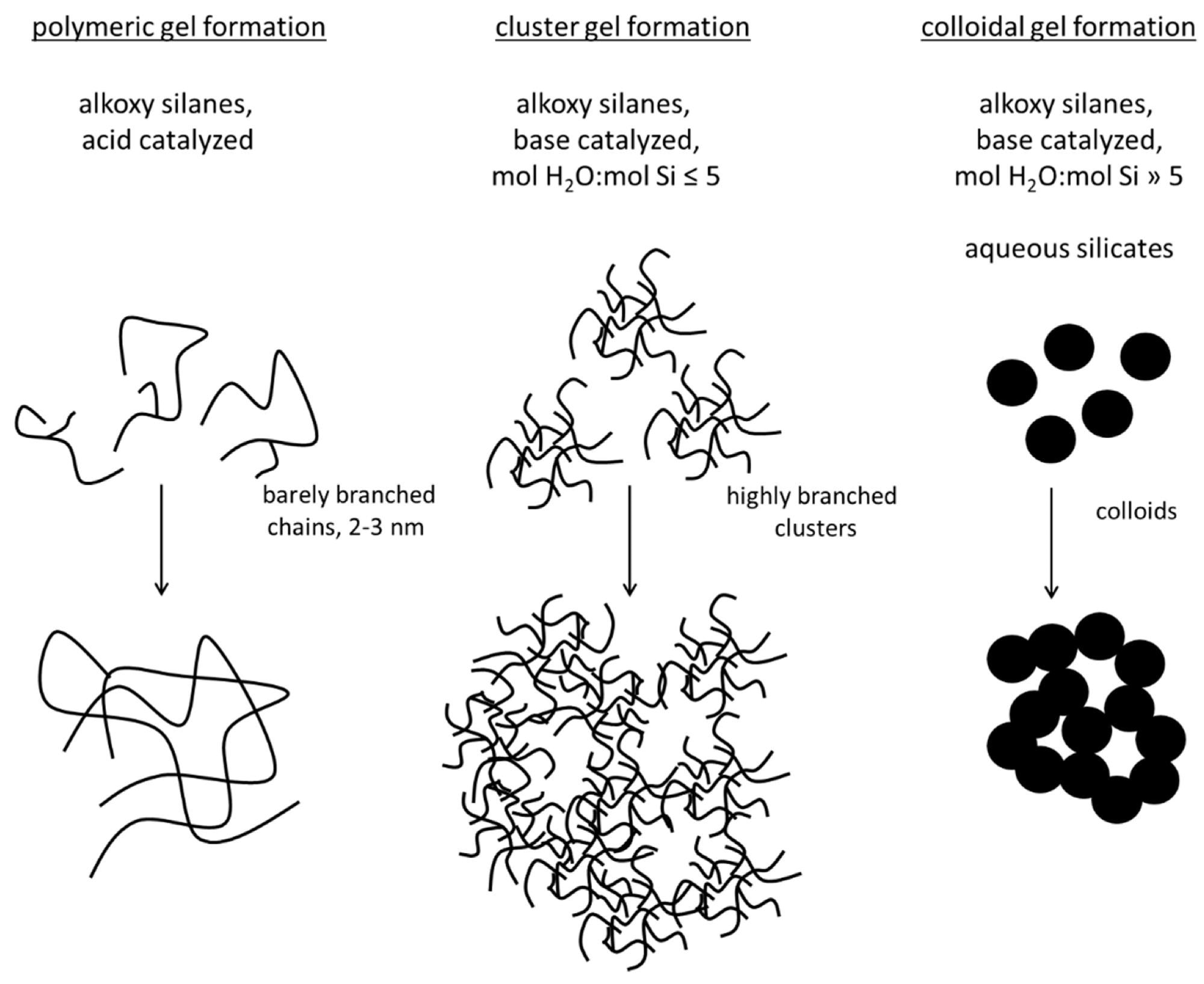 Schematic presentation of the polymeric, cluster, and colloidal gel formation, modified from [60,61,64].