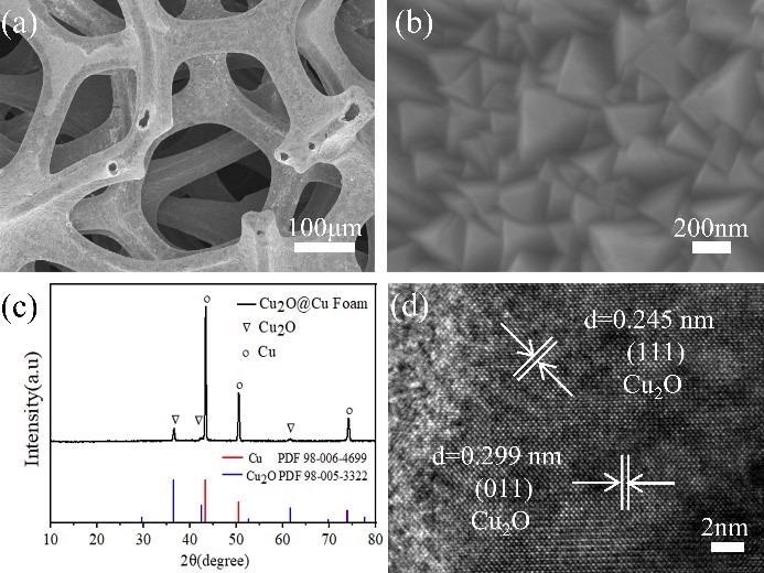 Researchers Discover an Effective Method to Remove Nitrogen from Water.