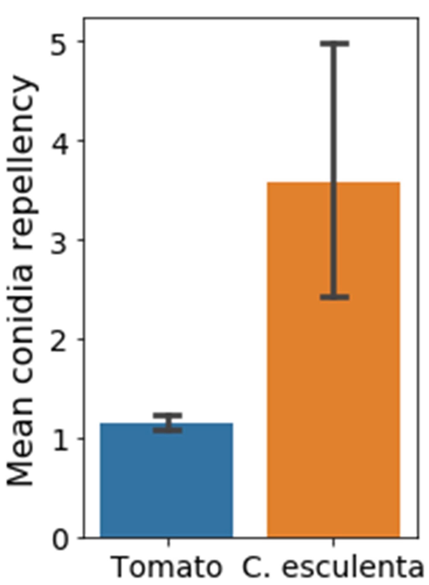 Conidia repellency of two natural surfaces. C. esculenta leaves and tomato leaves were tested for their conidia repellency. Conidia repellency represents the number of conidia counted before wash, divided by the number of conidia counted after wash (BW/AW) on the same surface. Pairs comparison was conducted using Student’s t-test. Conidia repellency values of C. esculenta leaves (3.57 ± 0.69) were significantly higher than those of tomato leaves (1.15 ± 0.04) (p < 0.01, Bars represent STD).