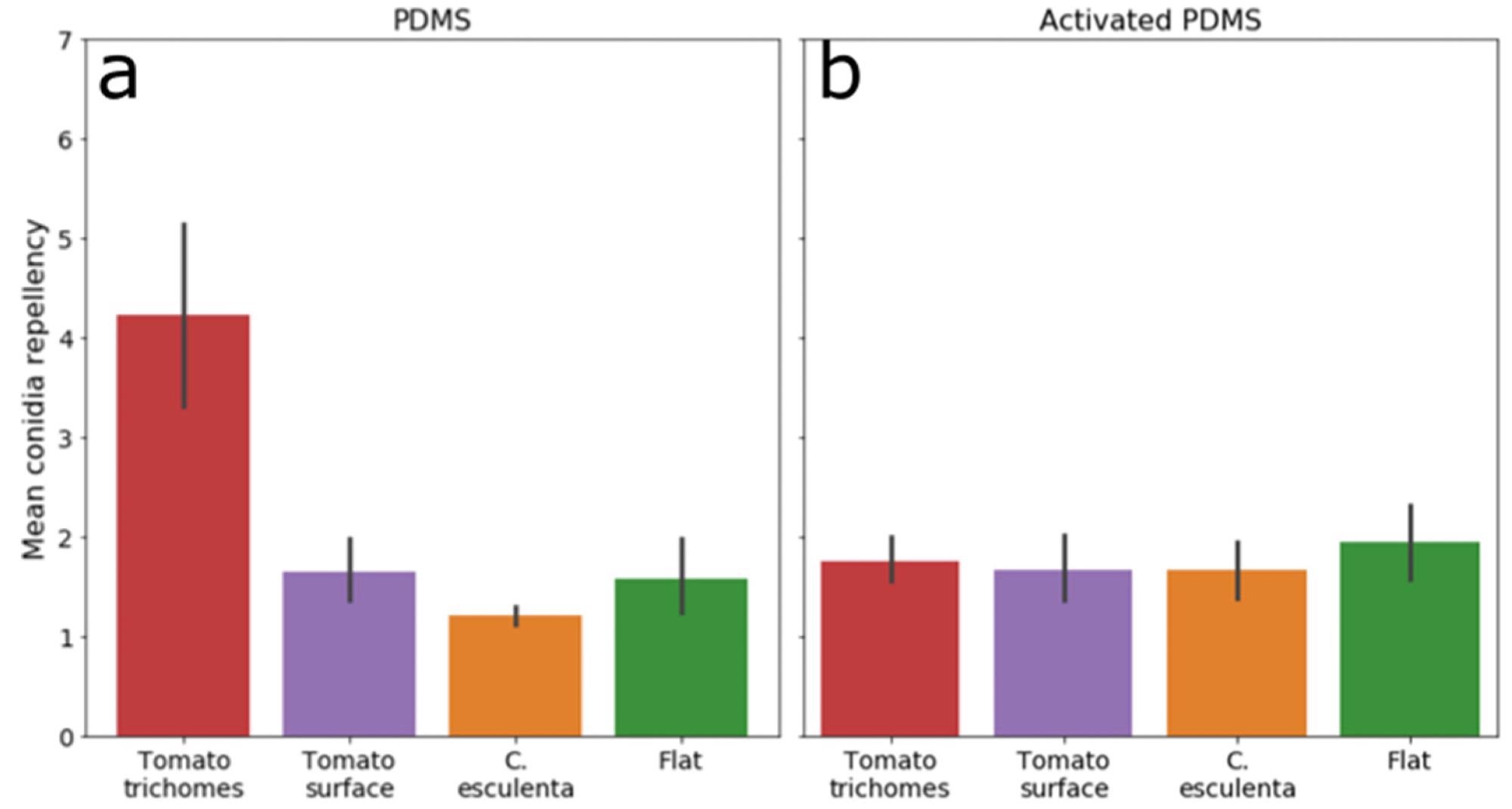 Washing efficiency of all synthetic surfaces separating trichomes from the rest of the surface. Summarization of washing efficiencies of all synthetic surfaces examined in this study. (a) PDMS surfaces, (b) Activated PDMS surfaces. Trichomes were counted separately from the rest of the tomato surface (red and purple bars, respectively). Only hydrophobic trichomes had washing efficiency significantly higher than all other surfaces.