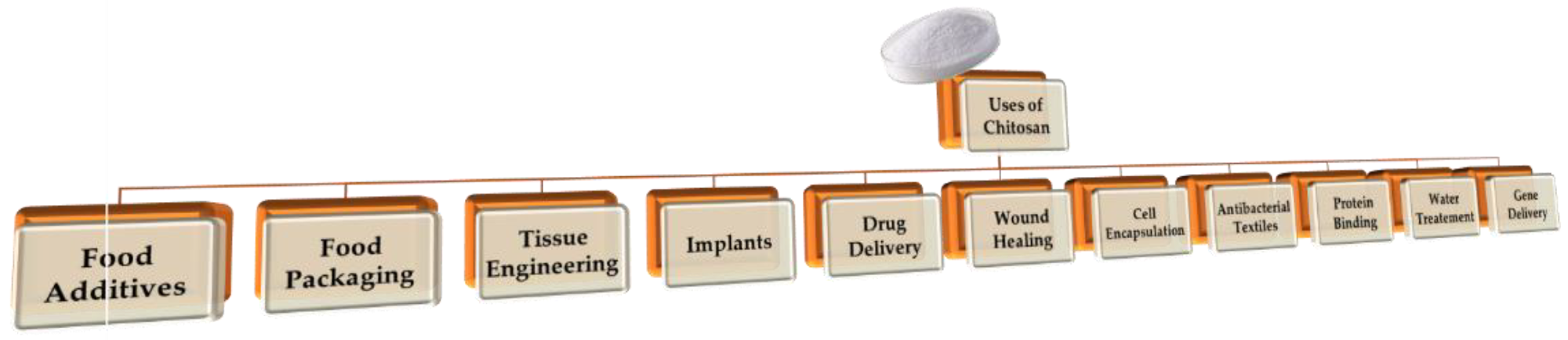 Different uses of chitosan.