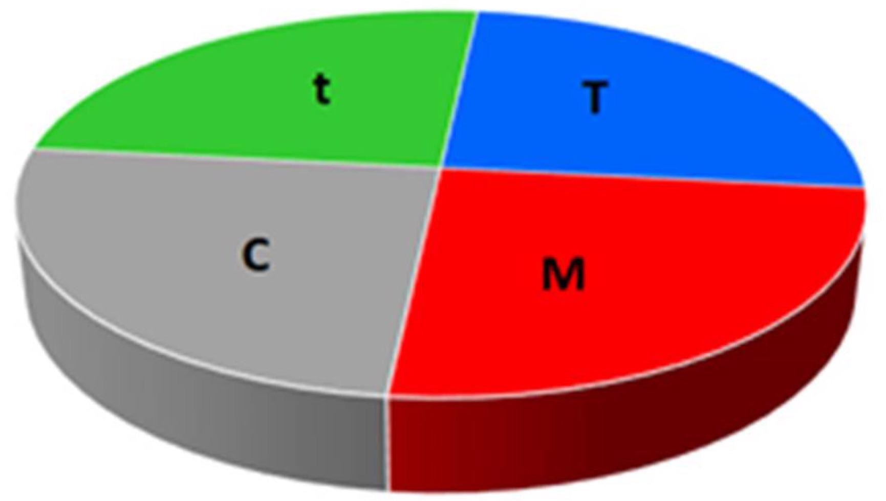 Washing factors according to Sinner’s cycle: t—time, T—temperature, M—mechanics, C—chemistry.