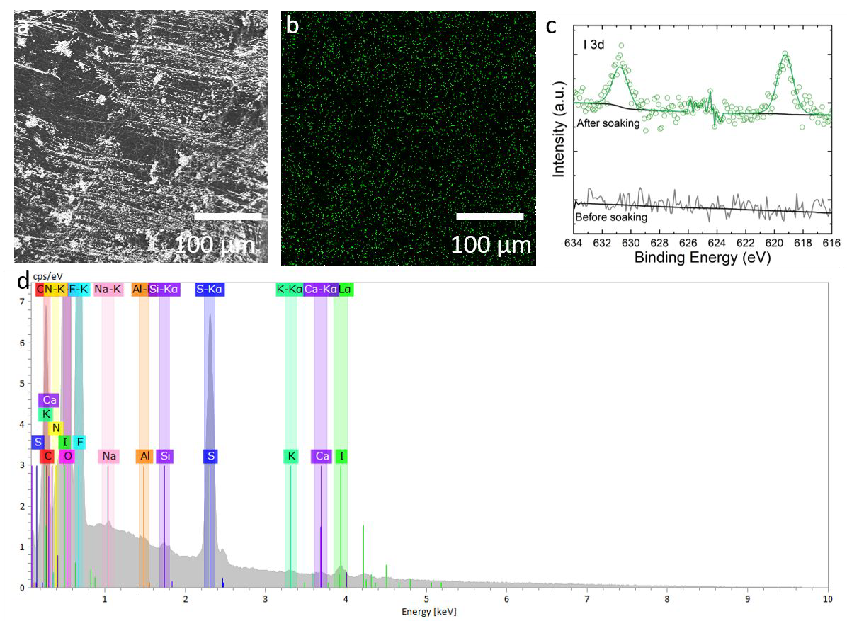 a) SEM of Li surface after soaking in 20 mM LiI overnight, b) EDX map of I corresponding to area in a, c) XPS of I 3d region, I 3d5/2 at 619.2 eV corresponds to I in the form of LiI, and d) EDX spectrum of a.