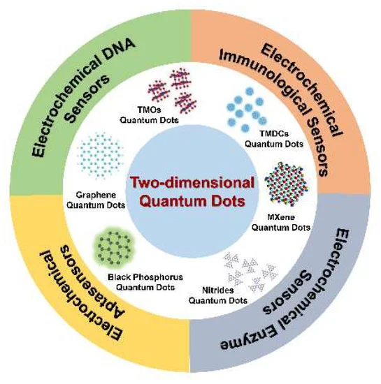 Schematic diagram of 2D-QD-based electrochemical biosensors.
