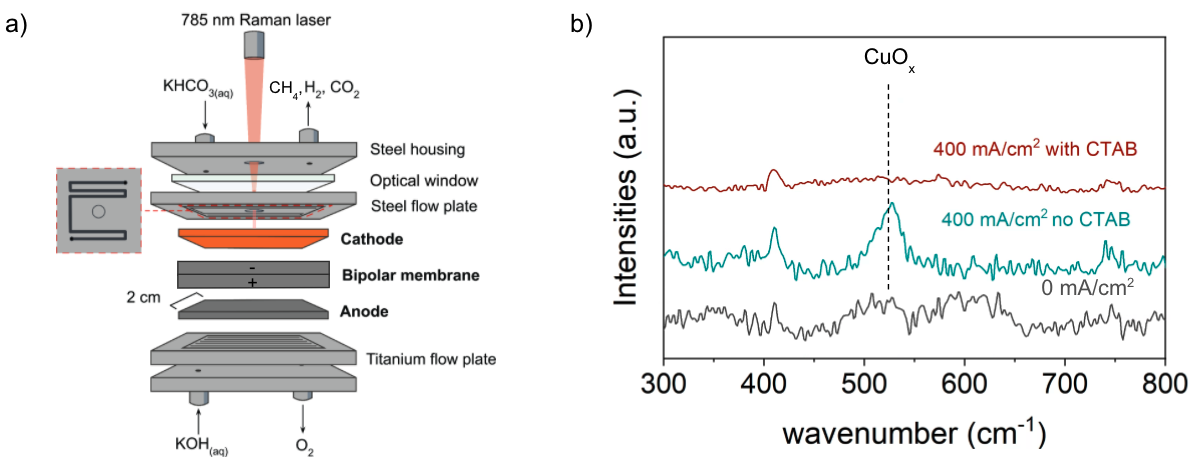 a) Schematic diagram of the bicarbonate electrochemical reactor cell used to perform in situ surface enhanced Raman spectroscopy. (b) In-situ Raman spectra of the copper cathode during electrolysis with (red) and without (green) 5 mM CTAB dissolved in 3 M KHCO3. Note that the spectra obtained at 0 mA cm-2 was unchanged by the presence of CTAB in the electrolyte. The characteristic Raman bands corresponding to vibrational modes of Cu oxides are indicated with dashed lines.