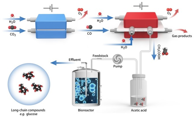 Novel Hybrid Electro-Biosystem Efficiently Converts CO2 to Glucose.