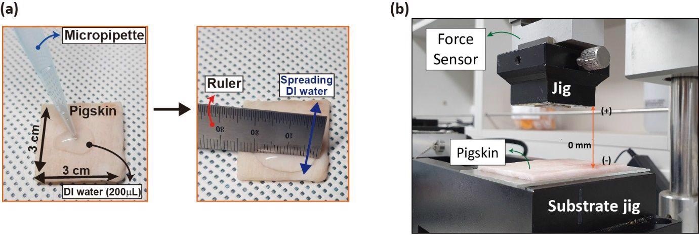 (a) Preparation of pigskin (3 cm x 3 cm) graft from dry (relative humidity ~50 %) to sweaty conditions. Here, 200 µL of DI water is applied onto the dry pigskin and spread evenly across the surface. (b) Pull-off adhesion test with the pigskin graft using custom-built equipment.