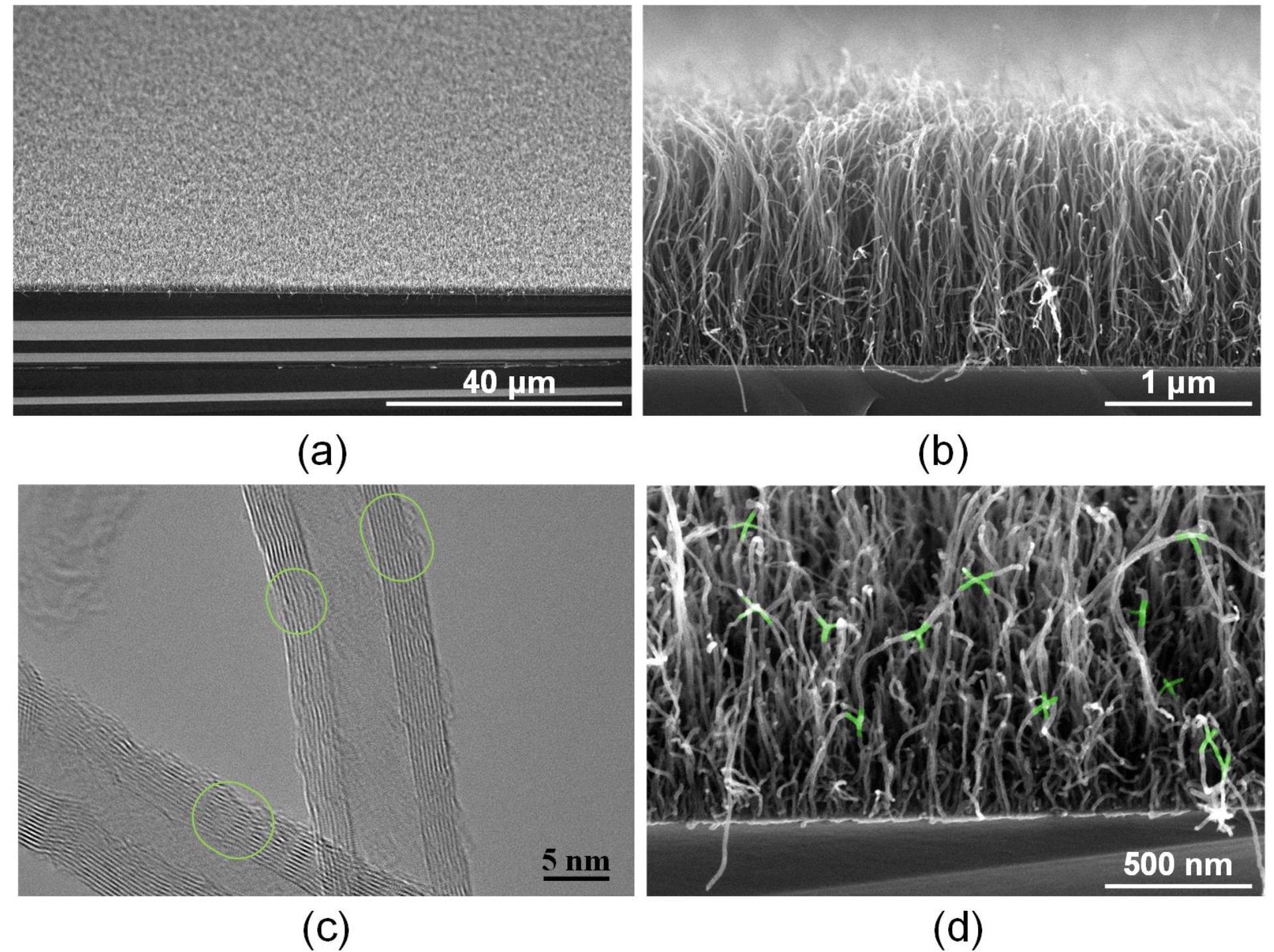 SEM (a,b) and TEM (c) images of MWCNT arrays on Si substrate before and after laser exposure with an energy density of 0.013 J/cm2 (d). Green ovals show transition regions in which there is a higher number of defects in the area compared to that in the defect-free part of the nanotube framework. Nanotube binding regions are highlighted in green.