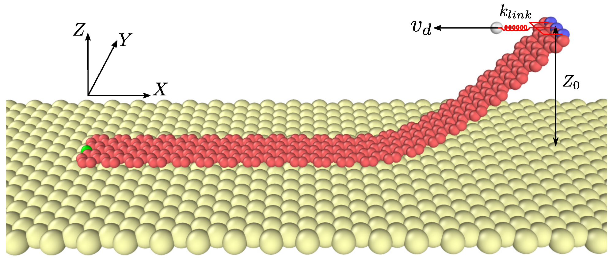 Schematic of the computational model. GNR is horizontally dragged by imposing a speed vd to the virtual atom connecting to the atoms (in blue color) at the lifted side, using a linear spring of stiffness