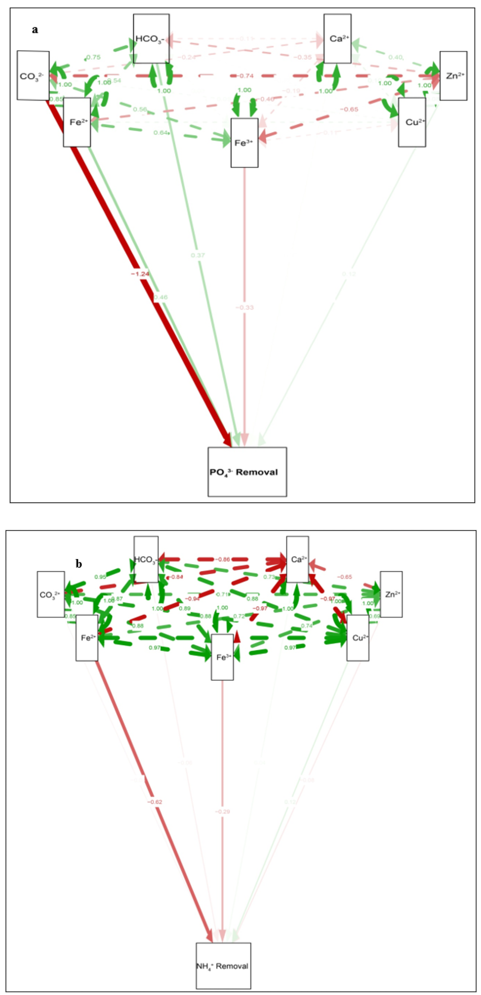 The key route main path of removal: (a) phosphate removal, (b) ammonium removal.