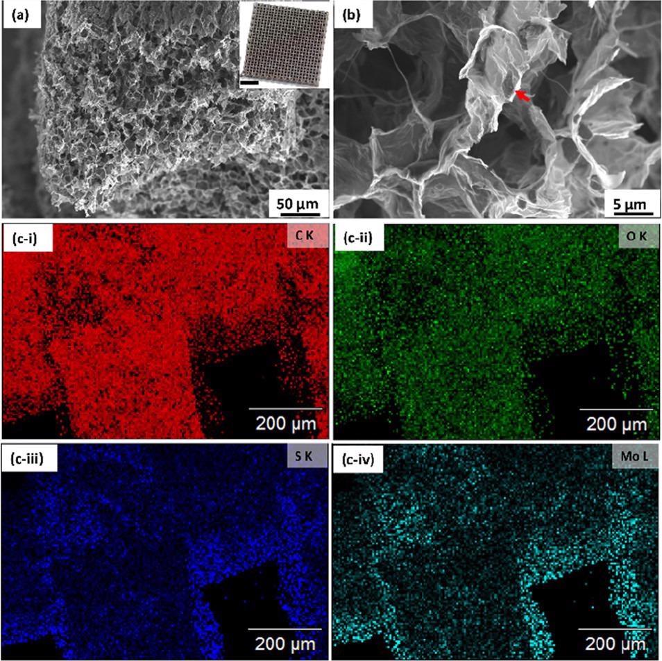 (a, b) Scanning electron micrographs of a 3D printed graphene/MoS2 aerogel (inset scale bar: 5 mm) and (c-i–iv) elemental image analysis of the GA/MoS2 aerogel.