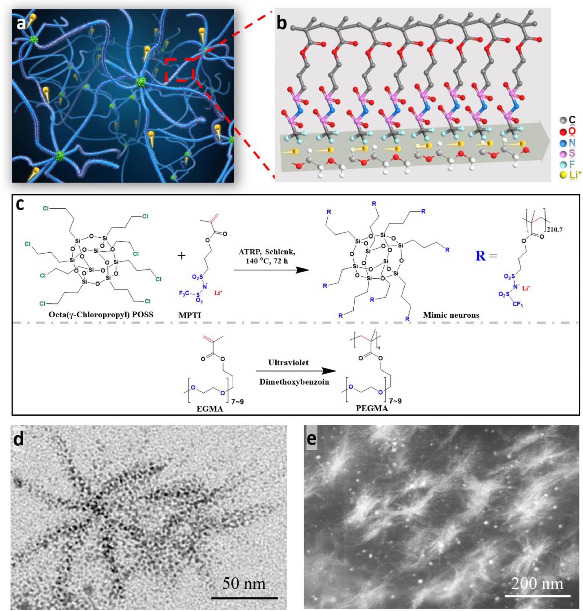 Structure of NN-SPE. (a) and (b) Illustration of the conceptual NN-SPE structure. (c) Illustration and synthetic steps for the preparation of the mimic neurons and mimic neuroglia. (d) HRTEM image of the mimic neuron. The black regions indicated the location of lithium salt groups in the mimic neurons. (e) DF-STEM image of the NN-SPE film. The bright region shows the mimic neuron.