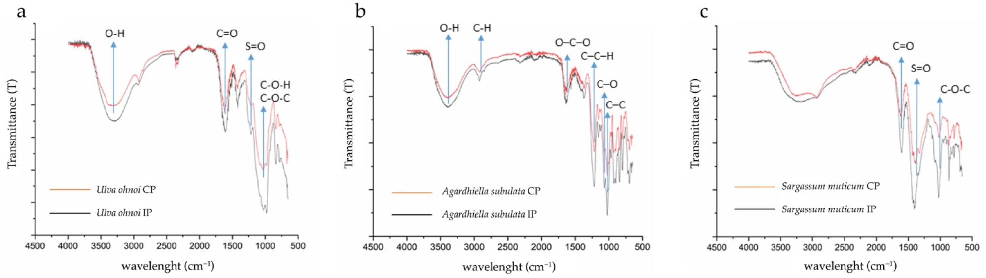 FTIR-ATR spectra of polysaccharide extracts (a) from Ulva ohnoi; (b) from Agardhiella subulata; (c) from Sargassum muticum. The black curves refer to conventional protocol (CP), while red curves refer to innovative protocol (IP).