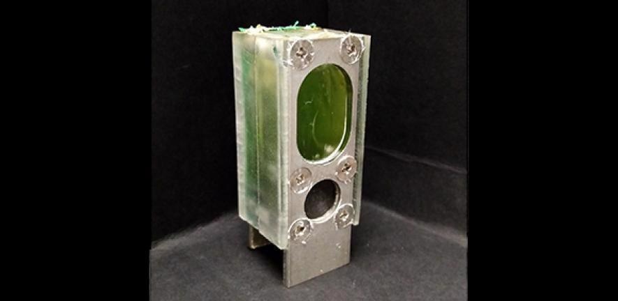 Researchers Develop Renewable Algae-Based Photovoltaic Cell for Computing.