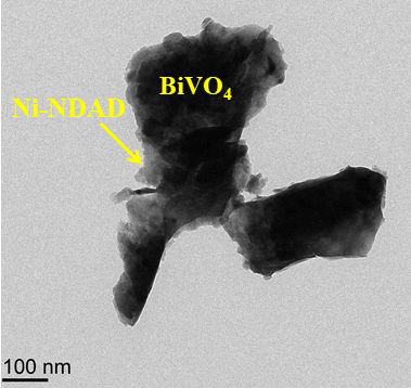 The TEM image of Ni-NDAD/BiVO4.