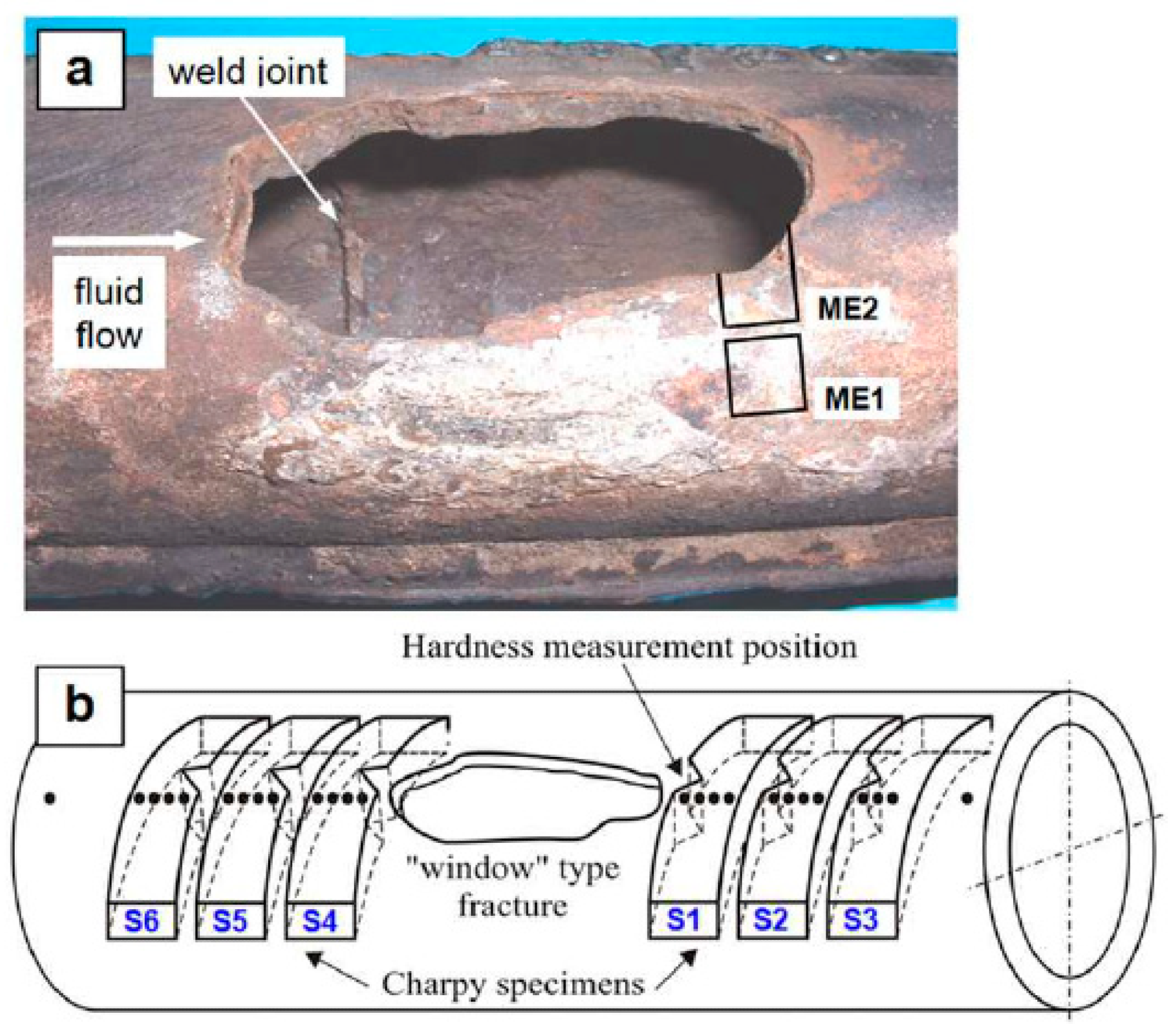 (a) damaged boiler tube facture; (b) position of facture on the boiler tube [56].