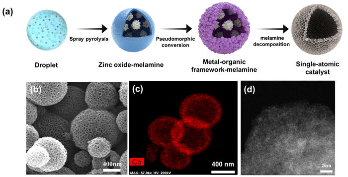 Development of Enhanced Single-Atomic Cobalt-Based Catalyst Using Industrial Humidifier