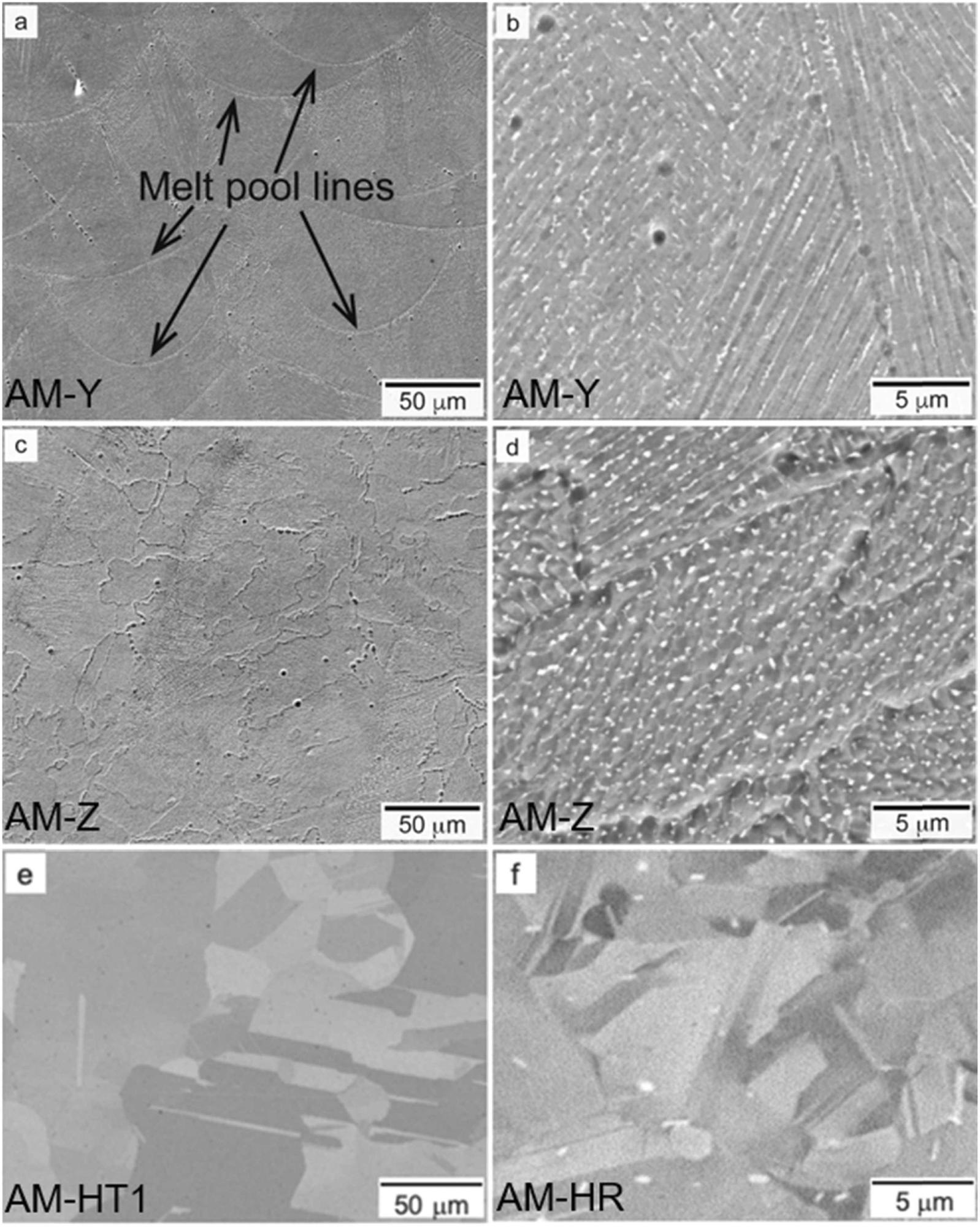 SE images of AM IN 625, Y-cut (a,b) and Z-cut. (c,d), AM-HT1 (e), AM-HR (f).