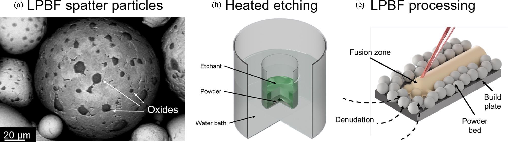 (a) SEM image of stainless steel spatter particle, (b) experimental approach of heated chemical etching, (c) LPBF processing of de-oxidised spatter particles