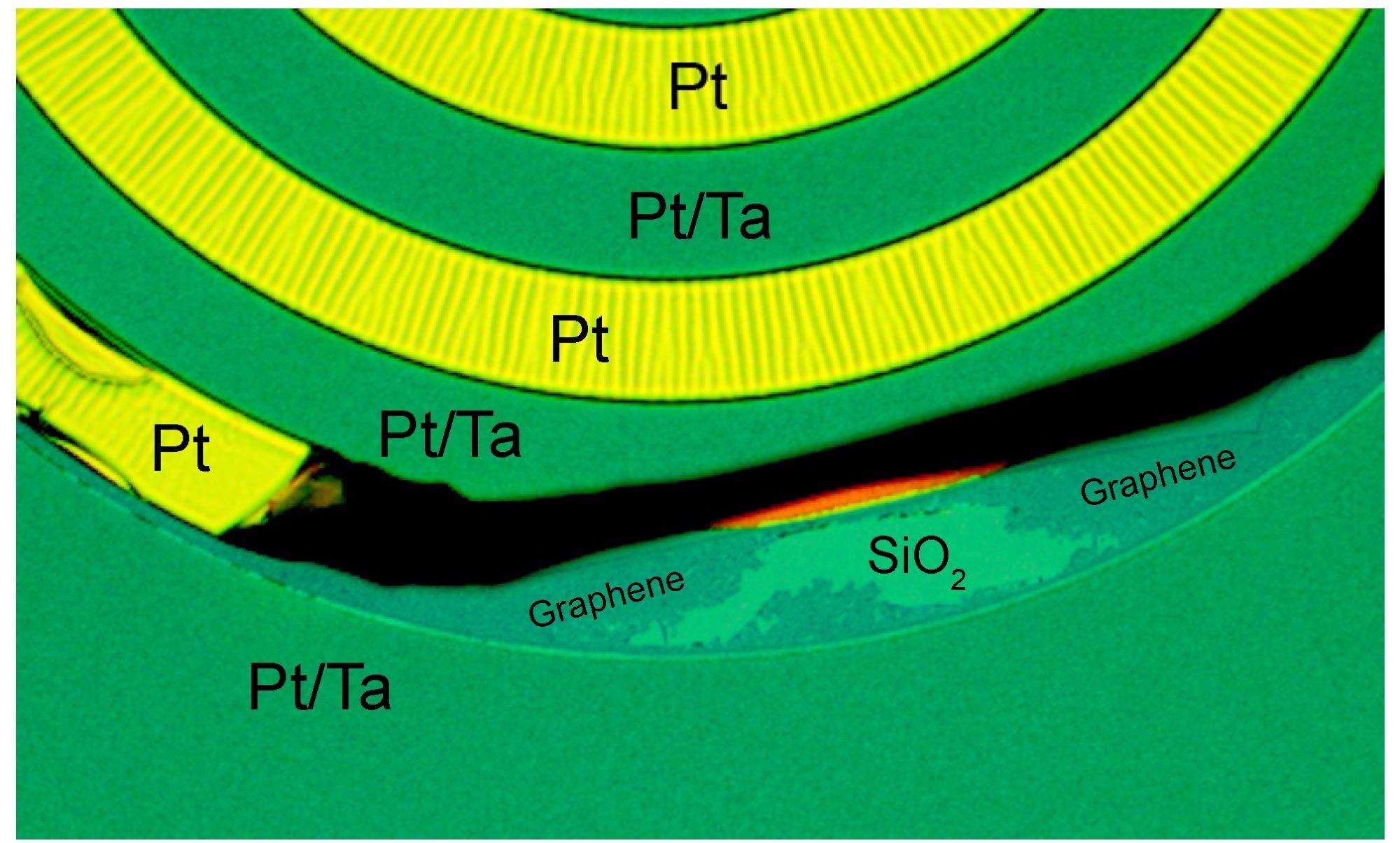 Optical micrograph of a wafer with lift-off patterned Ta structures, after the CVD graphene growth and before the Pt etch process step. Whereas the 50 nm Pt on top of 30 nm Ta is forming a flat surface, with Ta enhancing Pt adhesion, the intermediate regions with Pt show signs of weak adhesion (surface corrugation) and delamination. In a region where the Pt is delaminated, CVD graphene is observed on the SiO2, that corresponds to the graphene in Figure 4 after Pt etch.