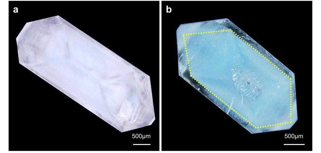OM images of KDP crystals grown from (a) solutions and (b) silica hydrogels containing methyl blue molecules.