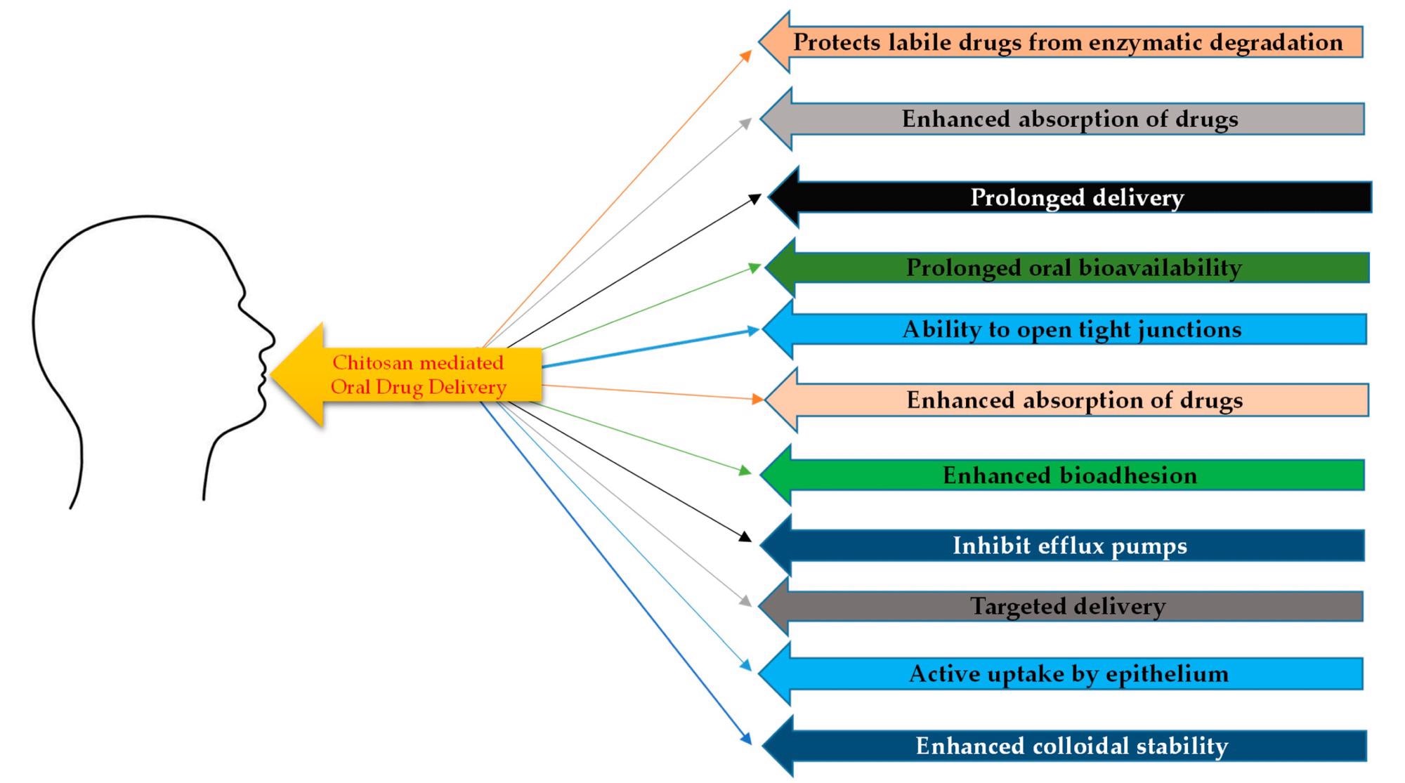 Listings of the limitations in oral drug delivery that chitosan and its derivatives have helped overcome.